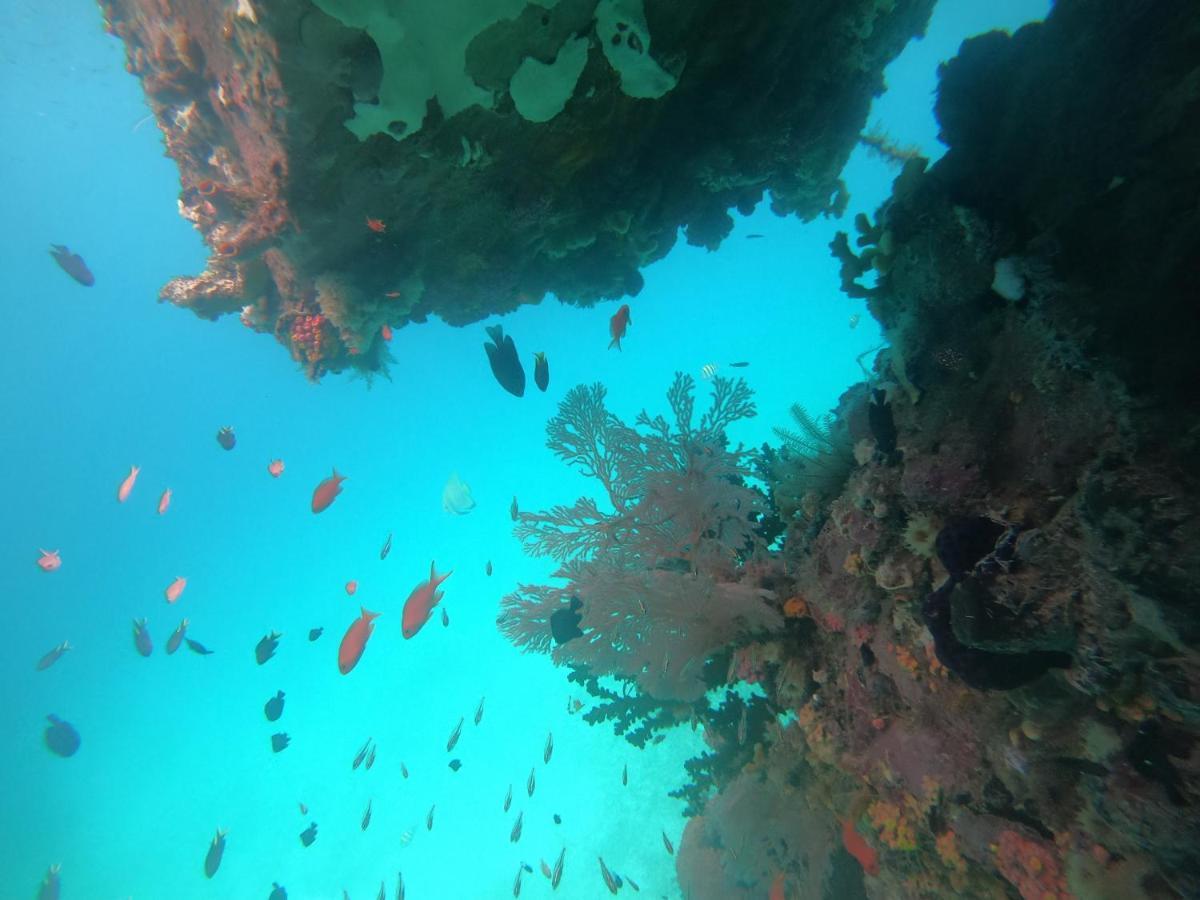 Meos Ambower Homestay Raja Ampat Fam Dış mekan fotoğraf