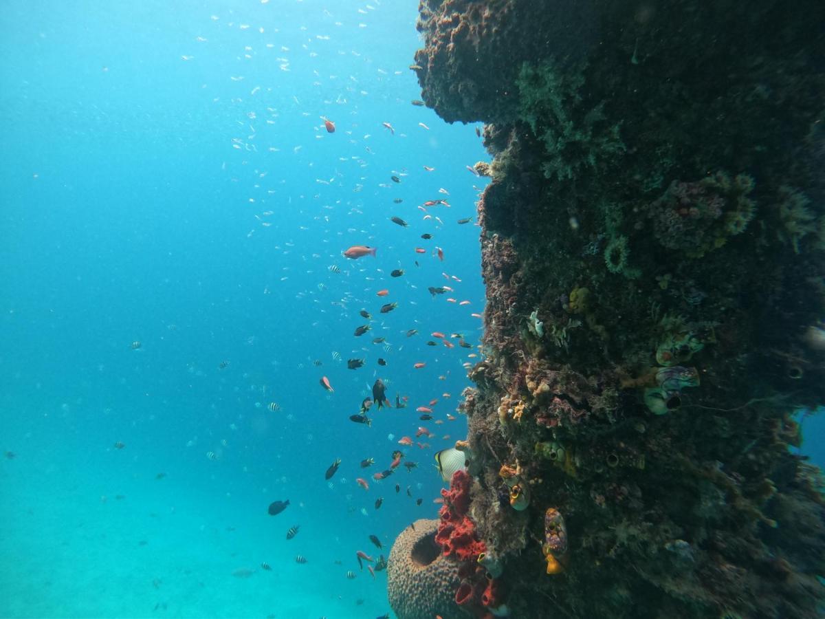 Meos Ambower Homestay Raja Ampat Fam Dış mekan fotoğraf