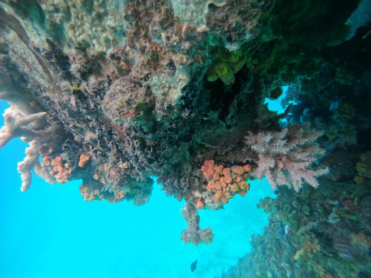 Meos Ambower Homestay Raja Ampat Fam Dış mekan fotoğraf