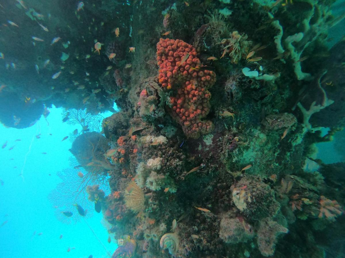 Meos Ambower Homestay Raja Ampat Fam Dış mekan fotoğraf